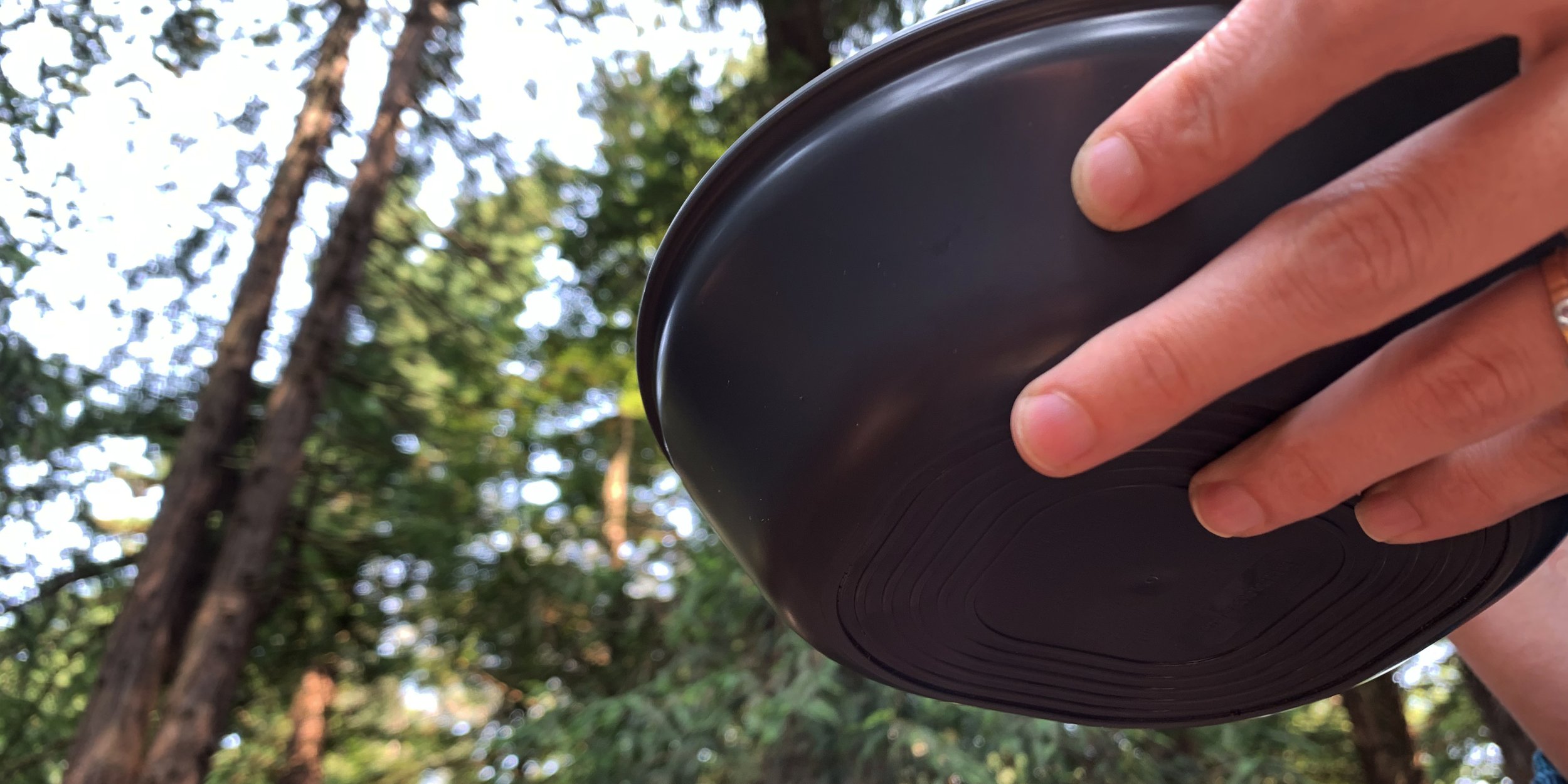 Hand holding a dark frisbee against a background of trees.