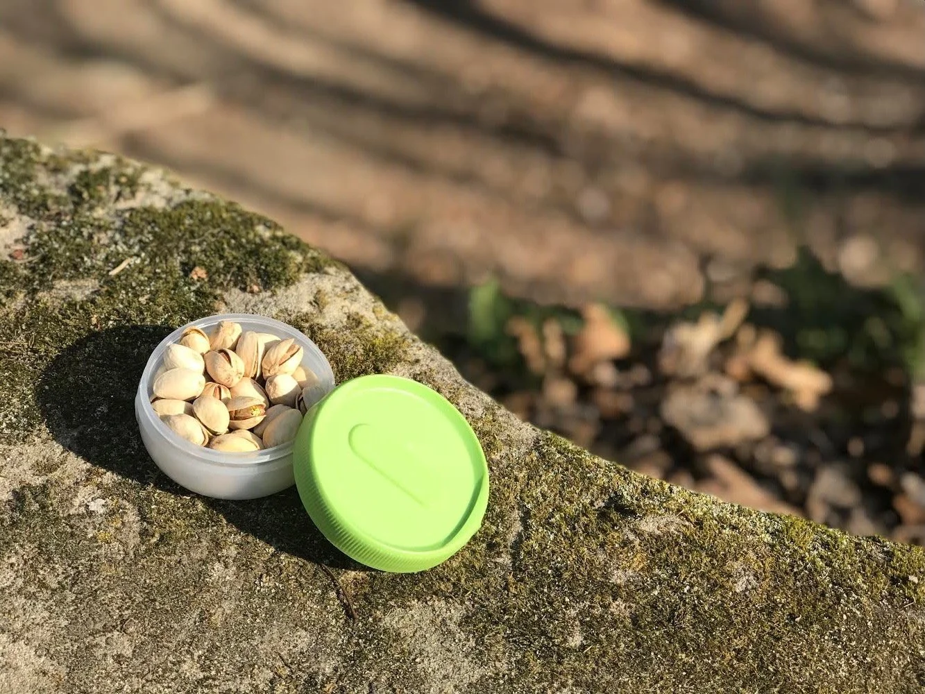 Small container with pistachios and green lid on mossy rock surface outdoors.