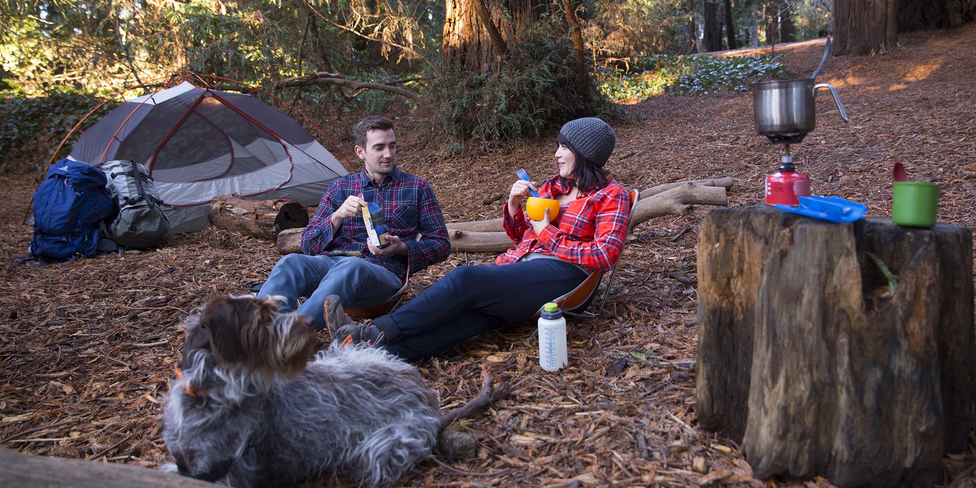 Two people in plaid shirts sitting at a campsite in a forest, with a dog nearby. They are next to a pitched tent and backpacks. A camping stove with a pot is on a tree stump. They appear to be eating and drinking.