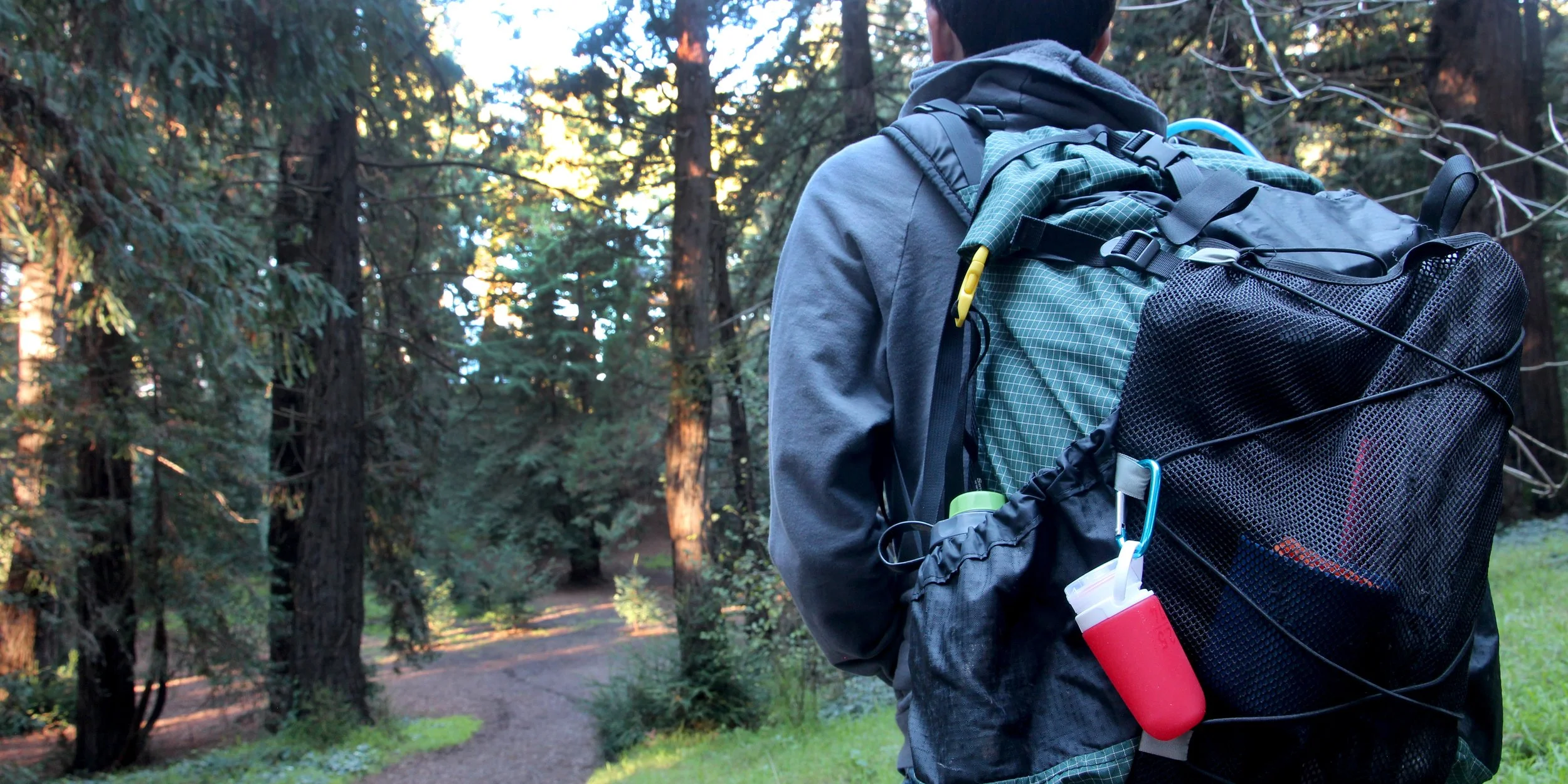 Person with backpack hiking in a forest