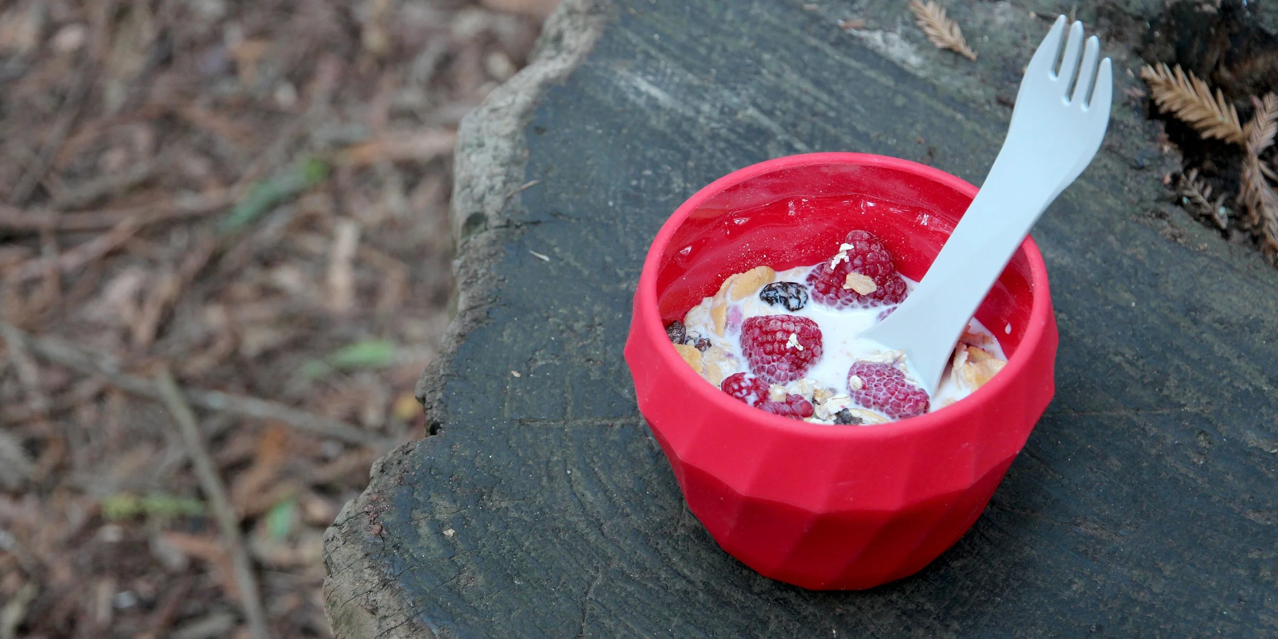 Red bowl with cereal, milk, and berries on tree stump, plastic fork inside.