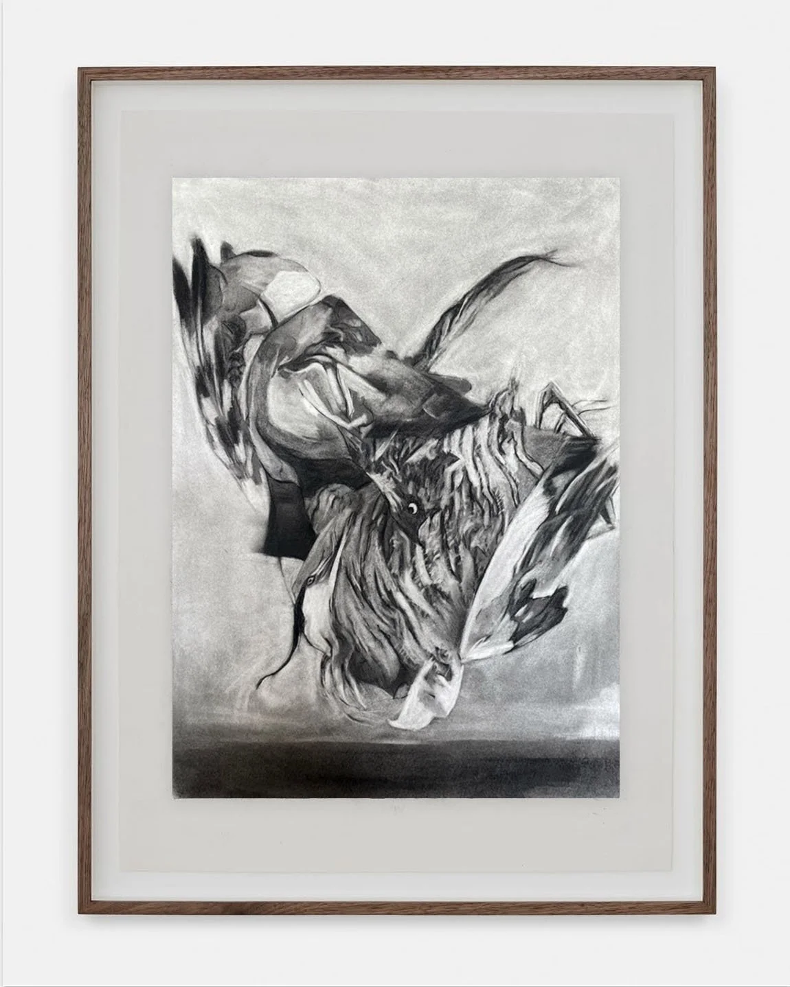 Charcoal, 26”x19”