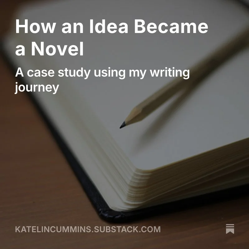 How an Idea Became a Novel