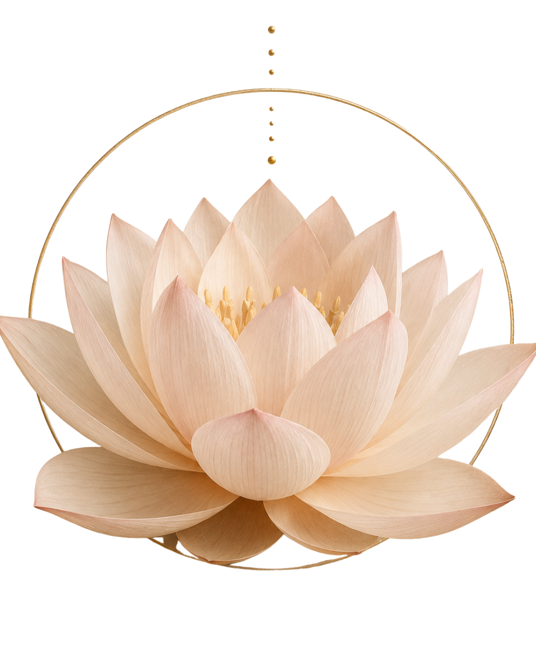 A light pink lotus flower with multiple petals, positioned against a background of various horizontal color stripes.