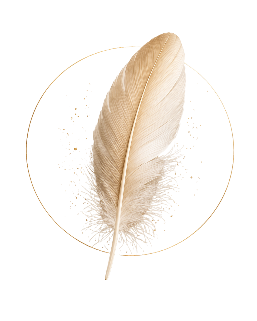A close-up of a beige feather with a soft gradient, positioned vertically with a beige background.