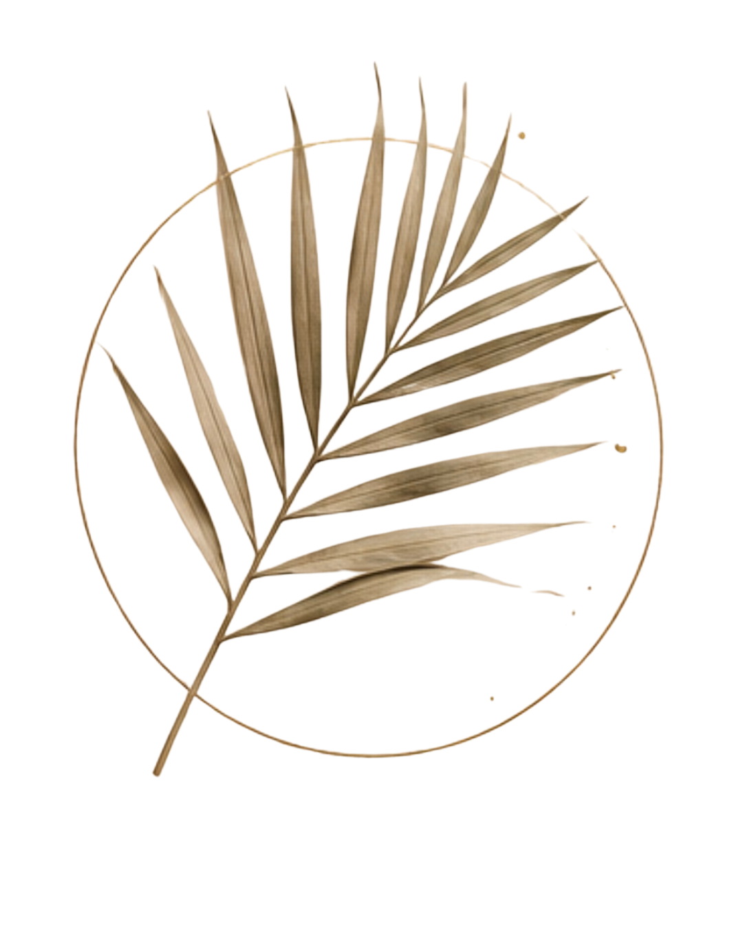 A circular decorative frame containing dried plant leaves arranged in a fan shape.