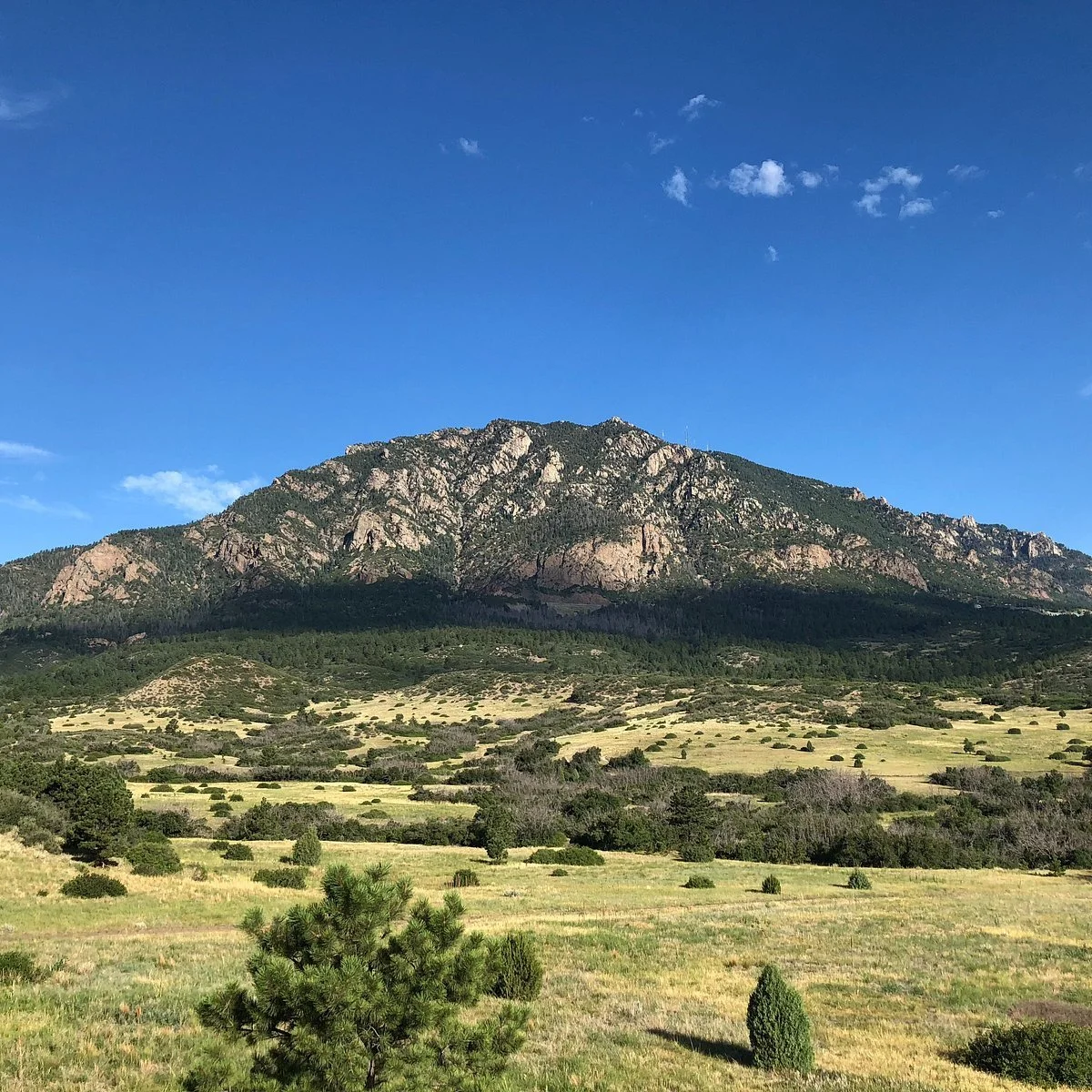 Mountain landscape with a green grassy field, scattered bushes, and trees in the foreground, and a large rocky mountain under a partly cloudy blue sky.