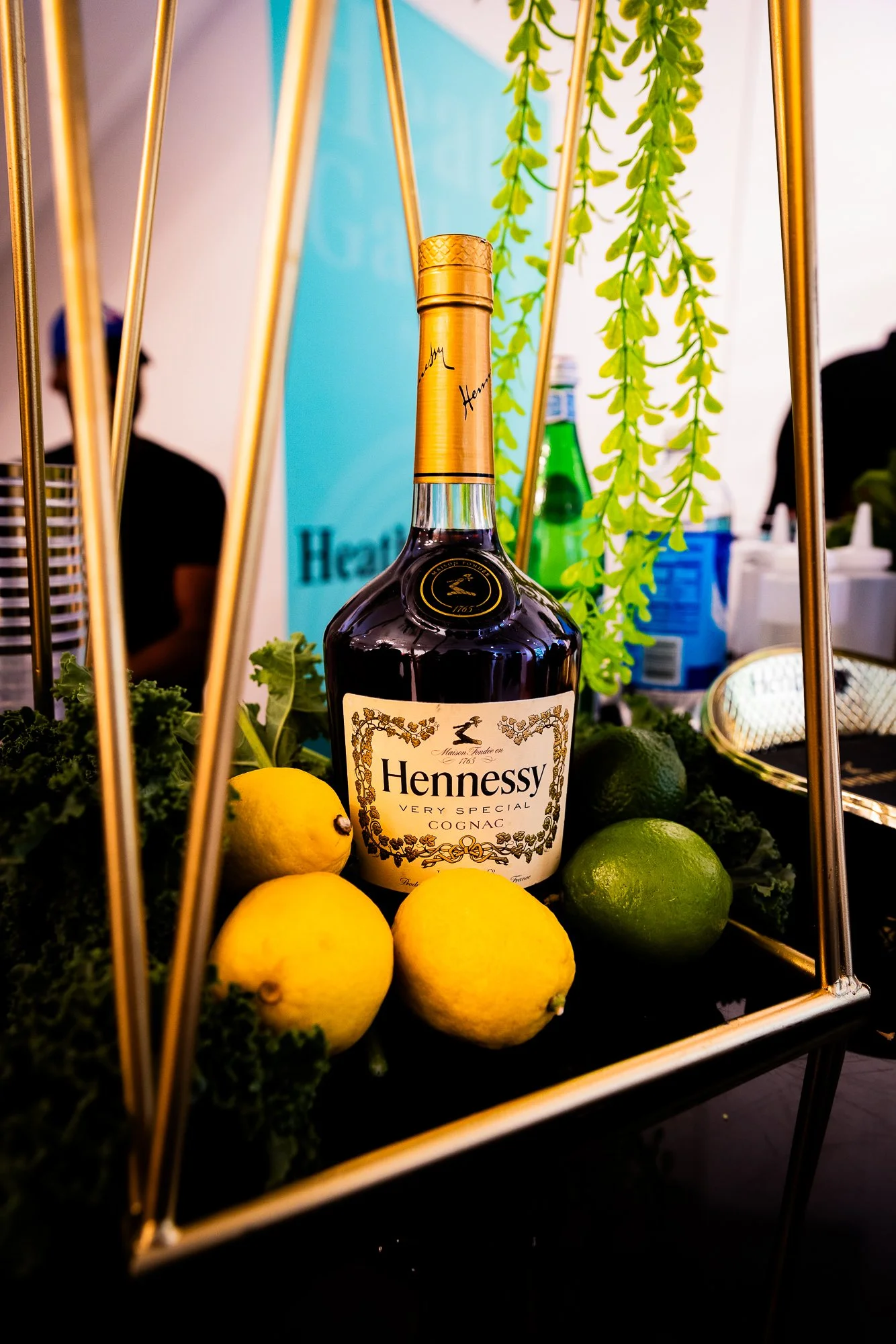 Hennessy bf acerophotos (19).jpg