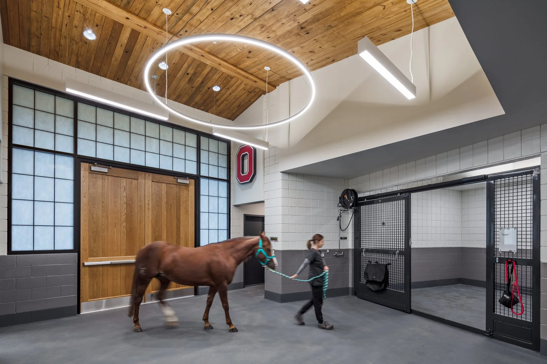 Wellogy_OSU_Equine_Center_Architectural_Photography_Interior_stall.jpg
