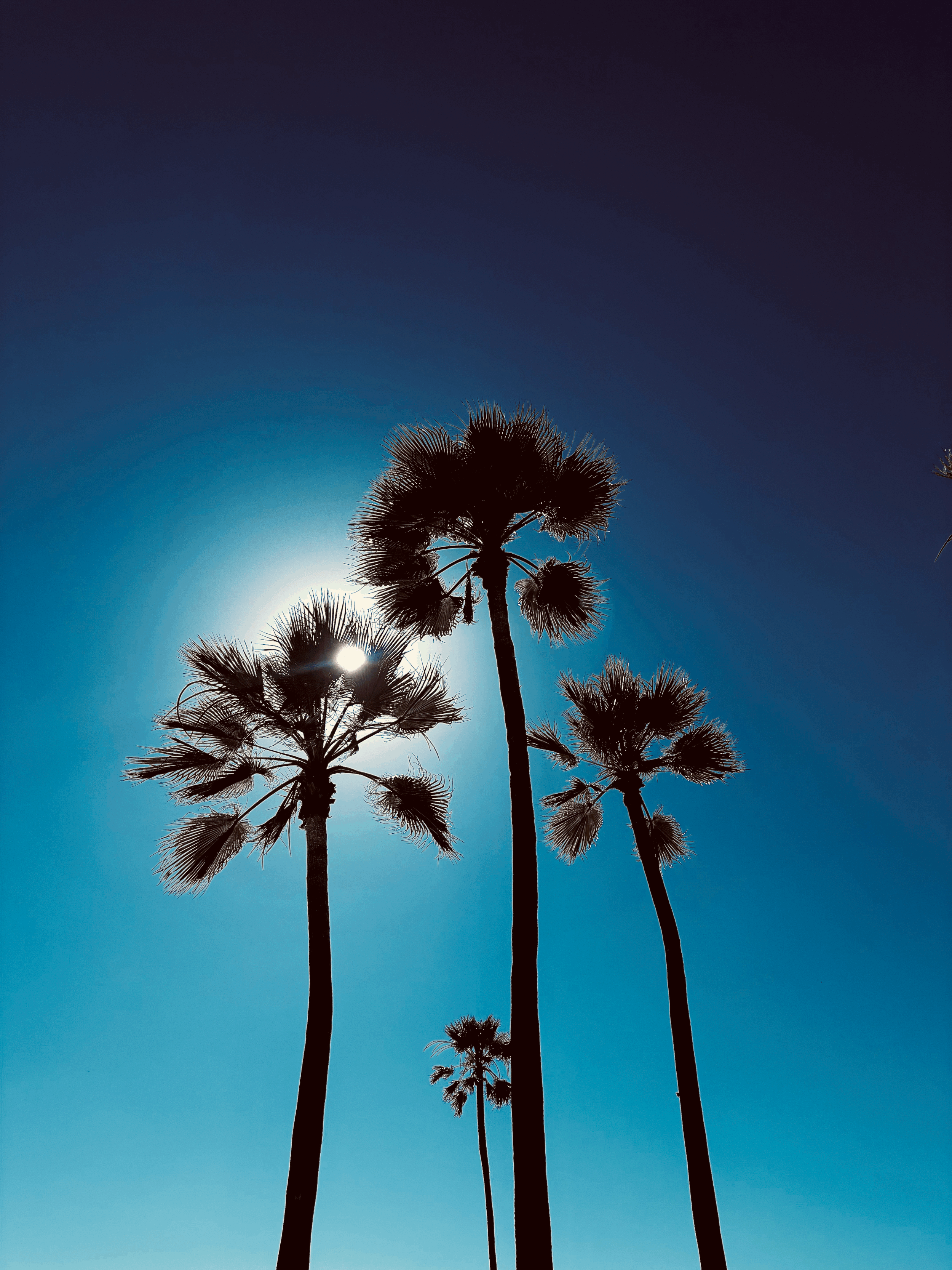 Blue Skies (2026)