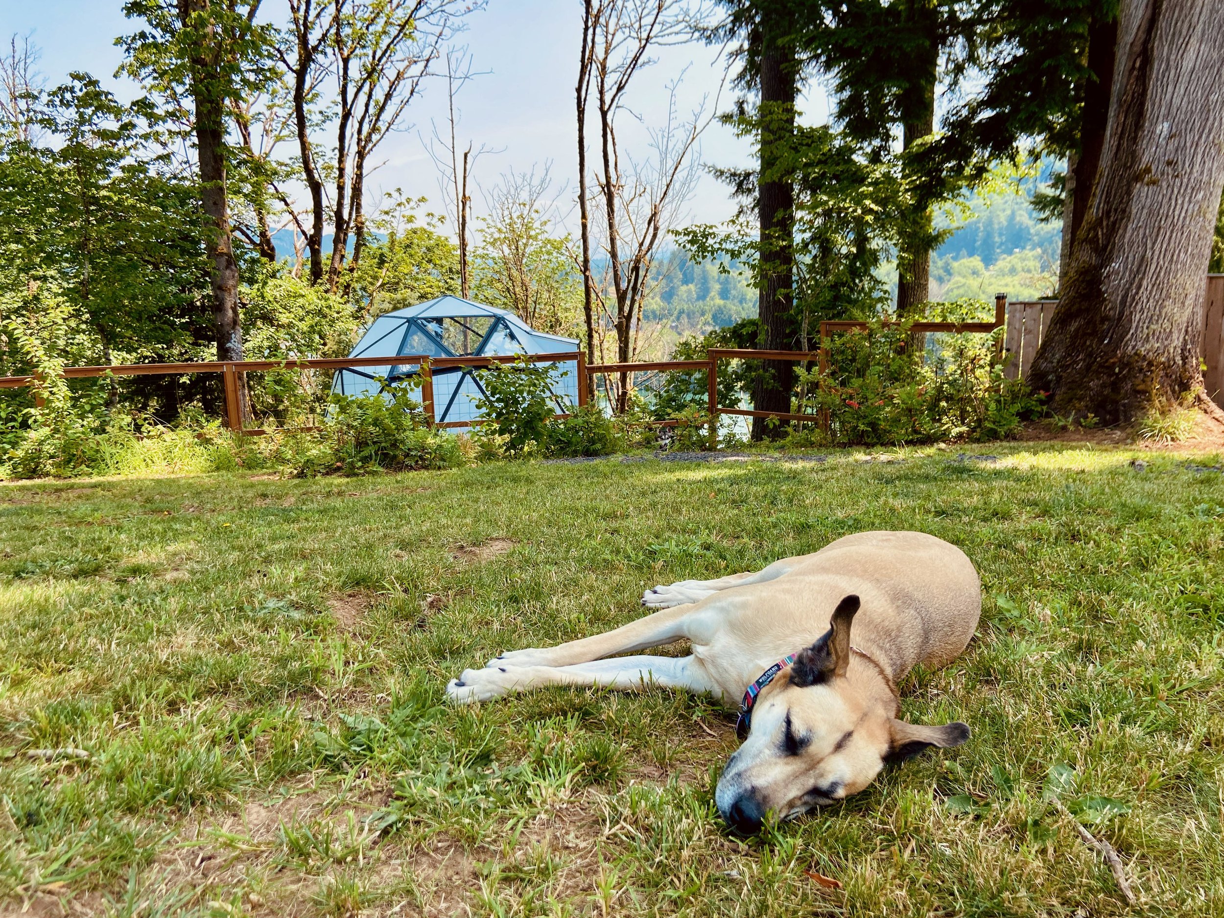 TheLookoutMayfieldLake_Glamping_Campsite - 22 of 48.jpeg
