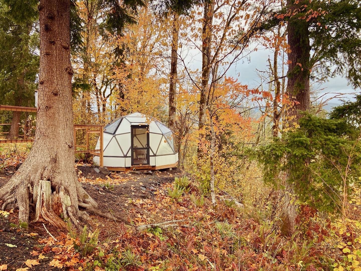 TheLookoutMayfieldLake_Glamping_Campsite - 35 of 48.jpeg