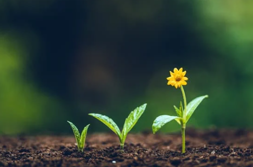 Consistency vs. Momentum