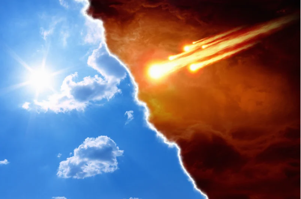 Instinct vs. Intuition