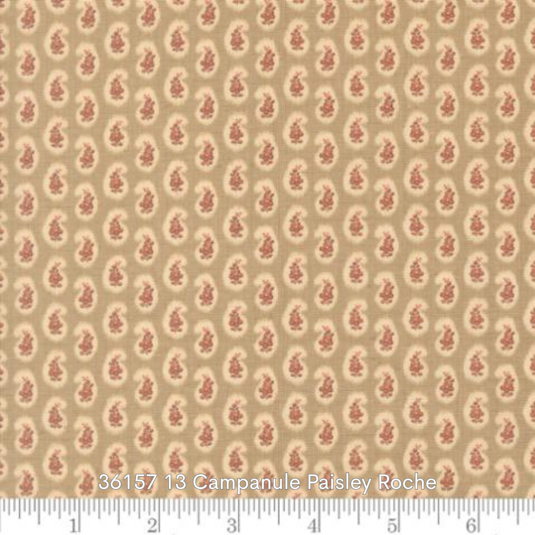 36157 13 campanule.png