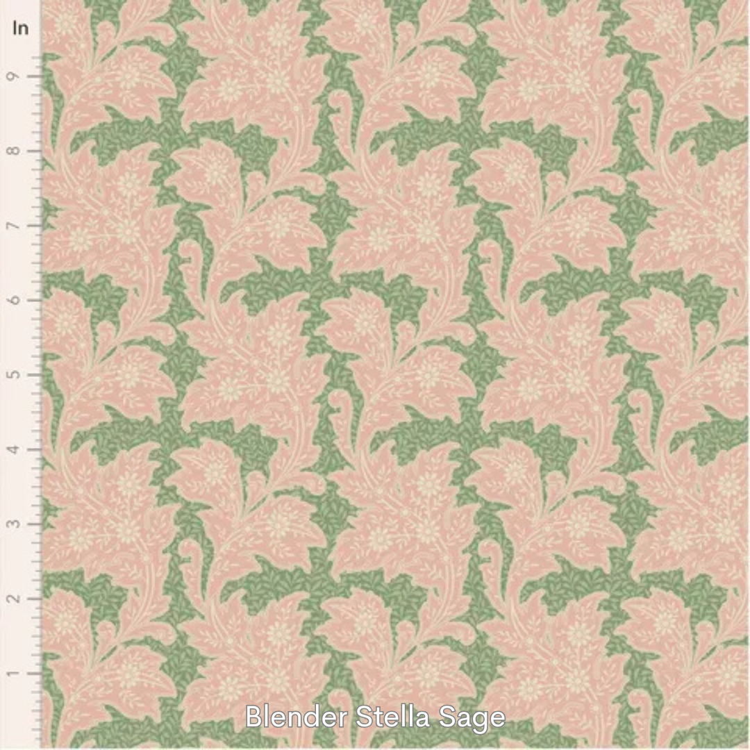 blender stella sage.png