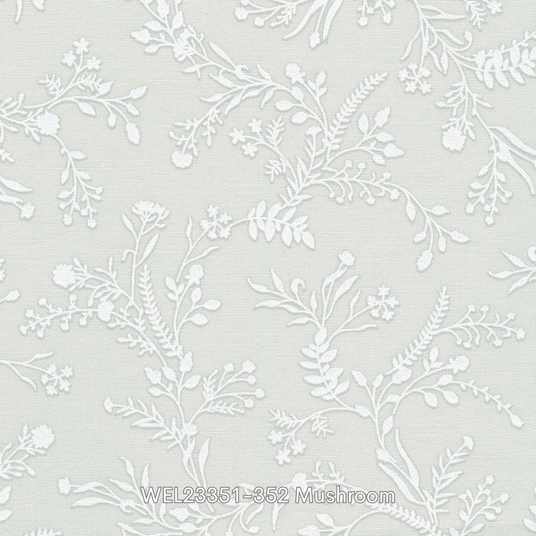 351-352 mushroom.png