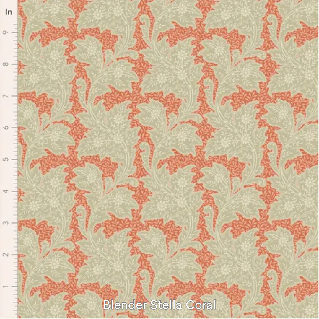 blender stella coral.png
