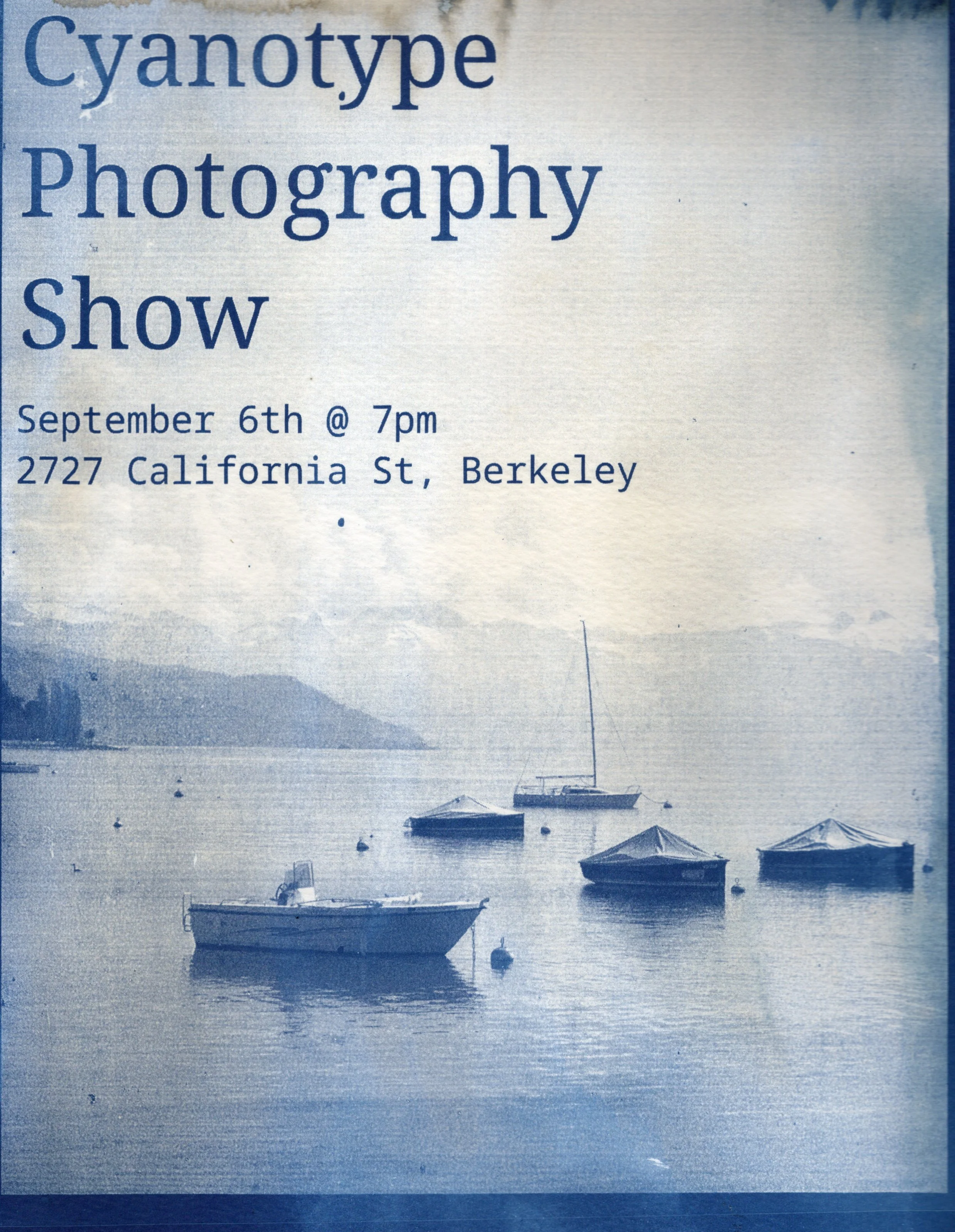 Alicia's Cyanotypes