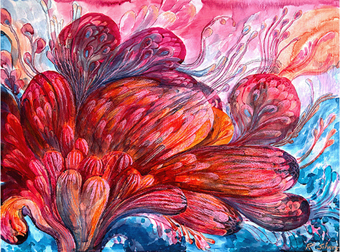 11. Coral Bloom
