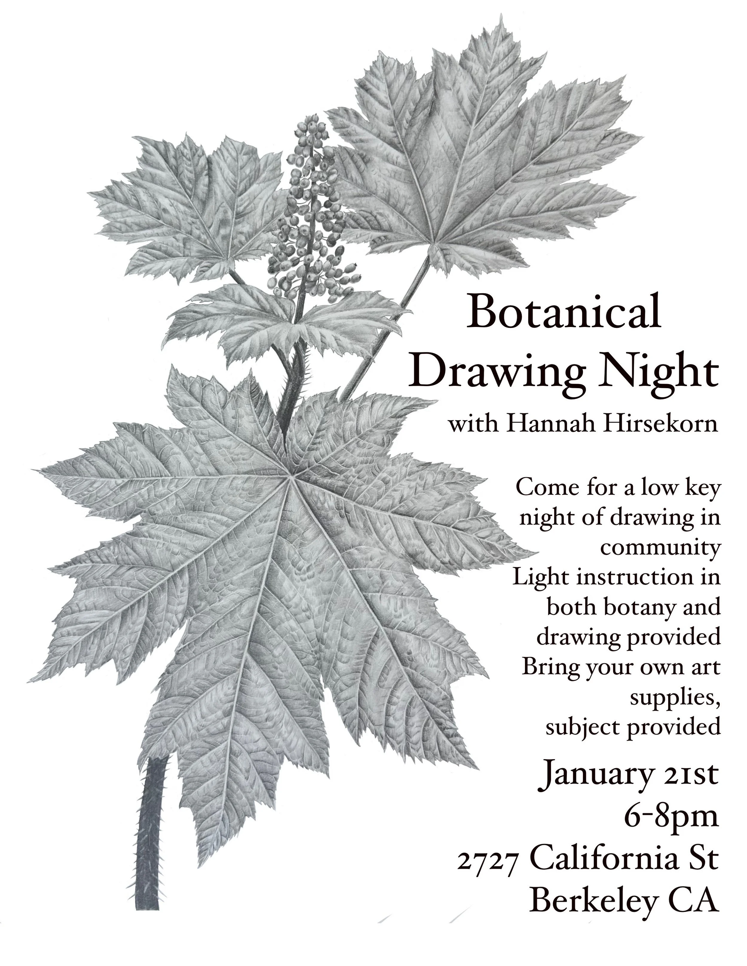 Botanical Drawing Night