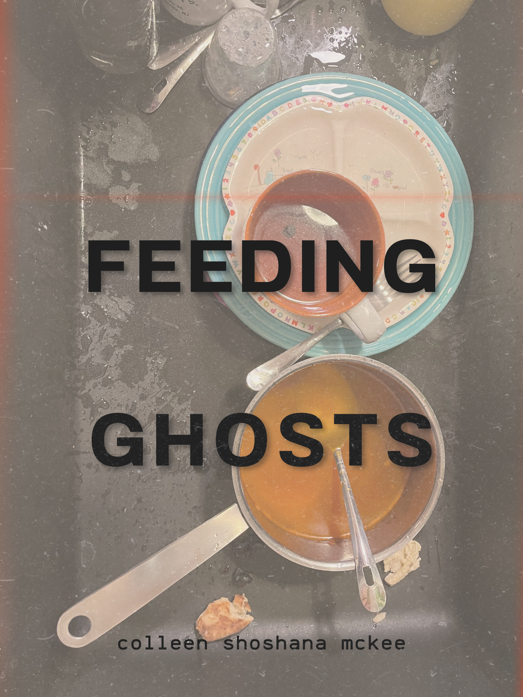 Book Launch for Feeding Ghosts by Colleen Shoshana McKee