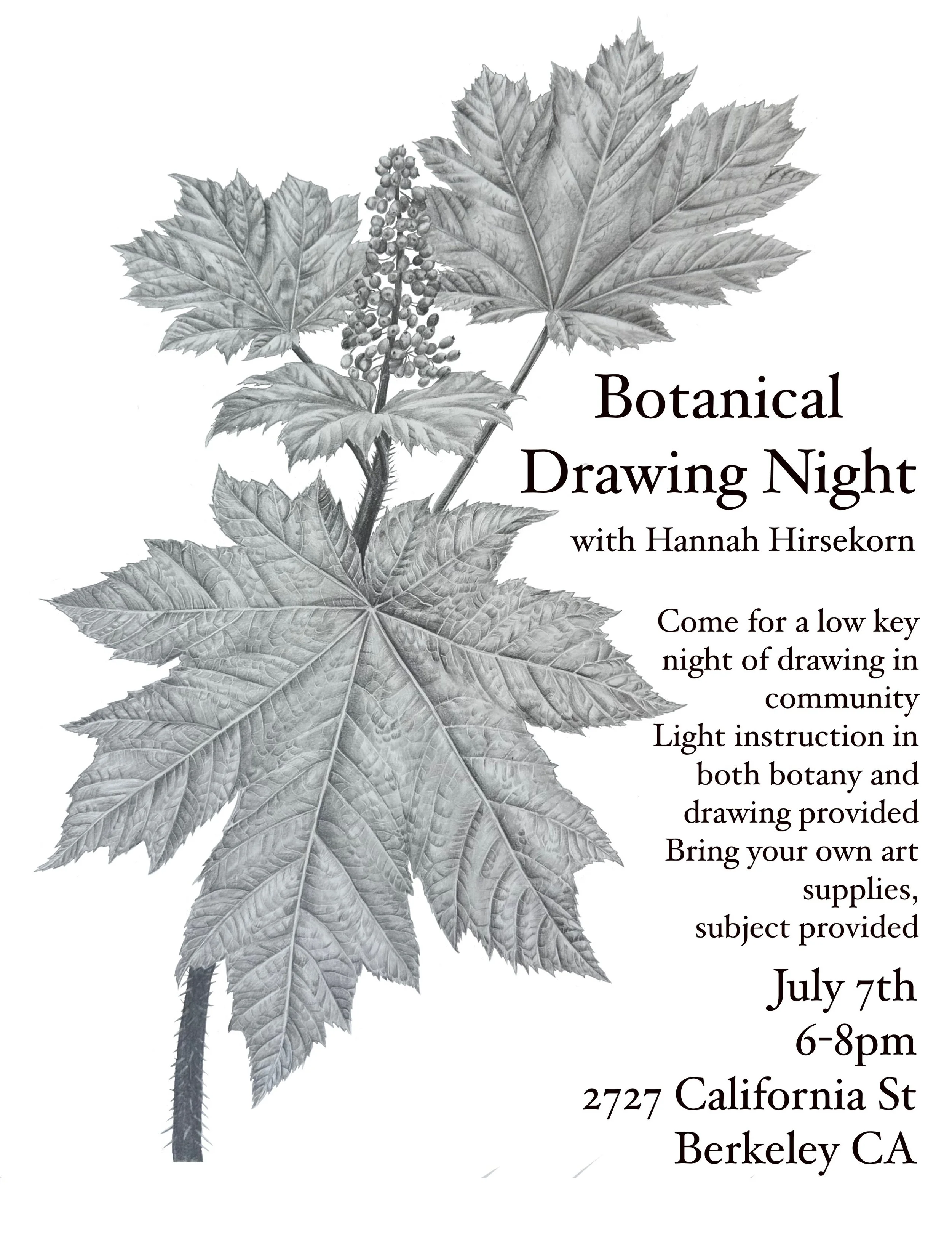Botanical Drawing