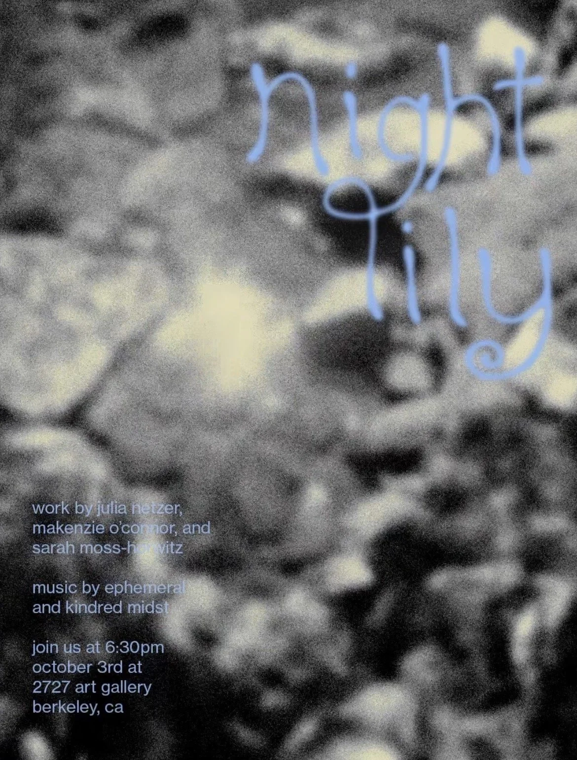 Julia Netzer: Night Lily