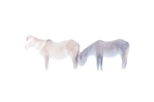 Ghots Horses - Alden Conner
