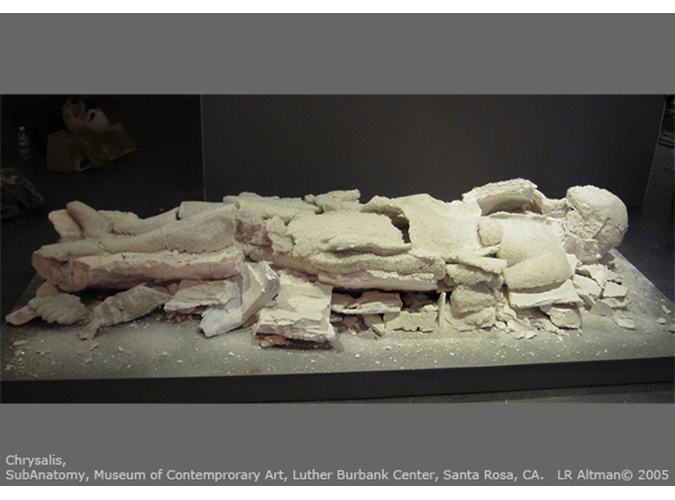 15. Chrysalis, Luther Burbank Center, Santa Rosa