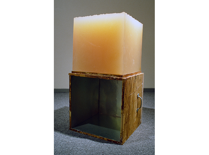 10. Diet (ideal size of my body indicated in BMI charts)