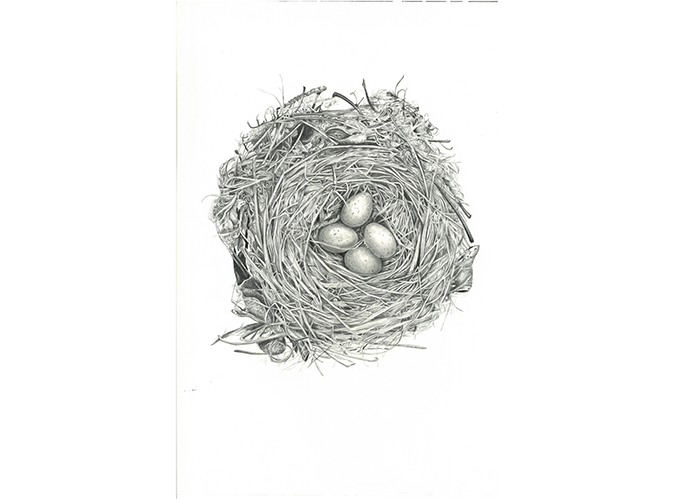 13. Nest