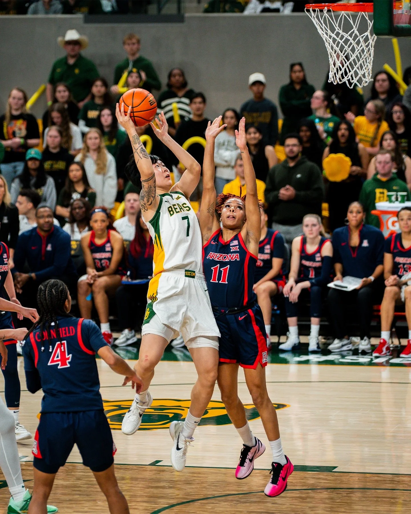 Baylor vs. Arizona // 02.21.2026