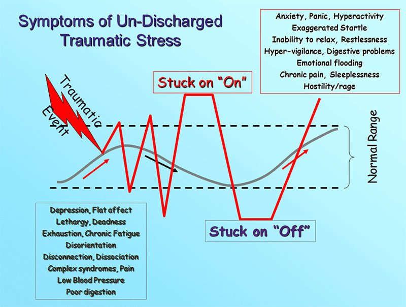 Services Integrated Trauma Therapy Services Integrated Trauma Therapy