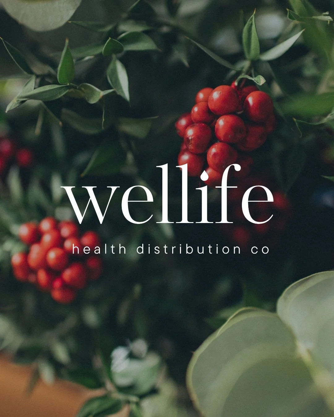 What Should Be Included In A Brand Style Guide?