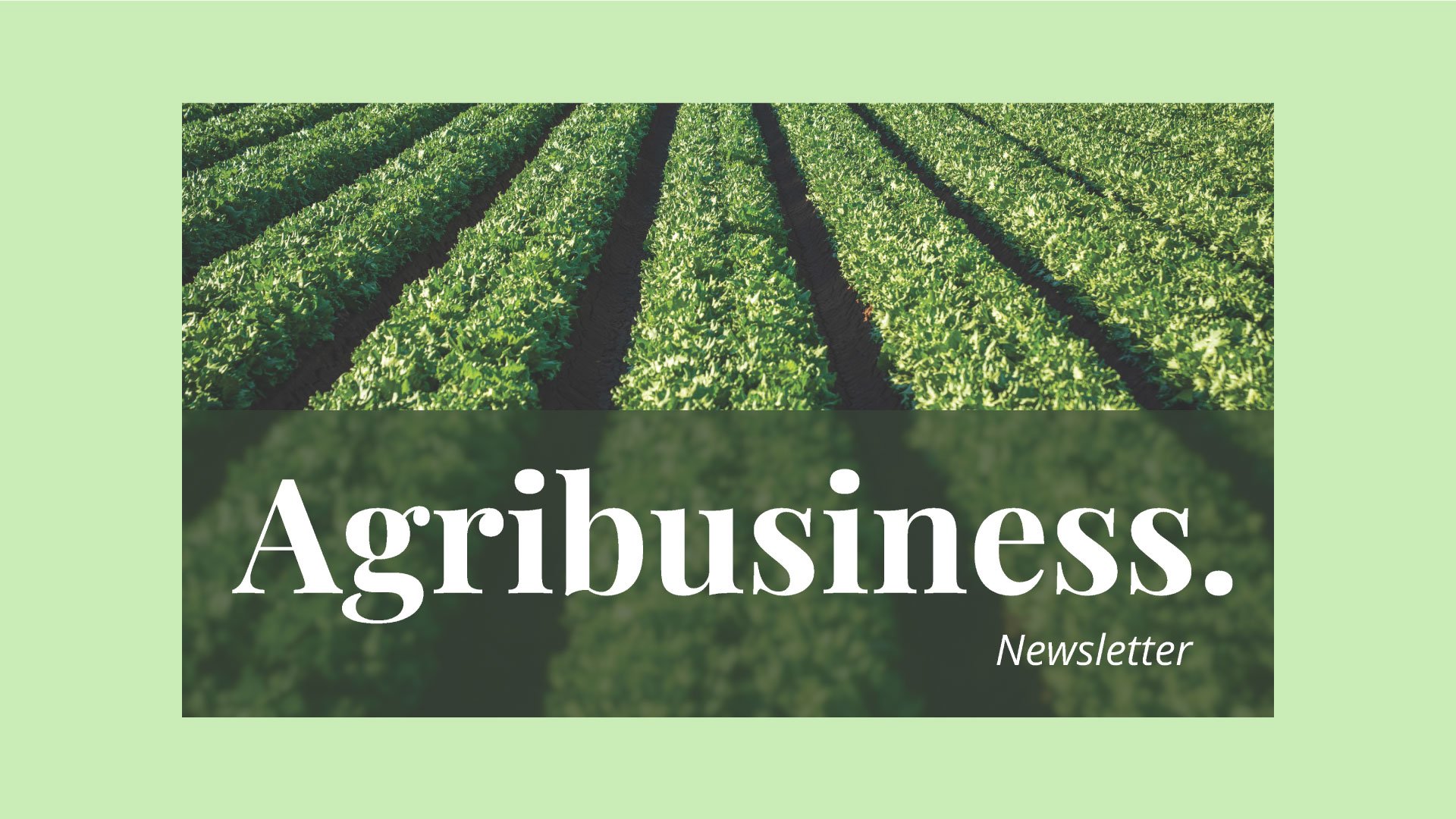 Cover page of Agribusiness Newsletter presentation, designed by Quirk Design Studio