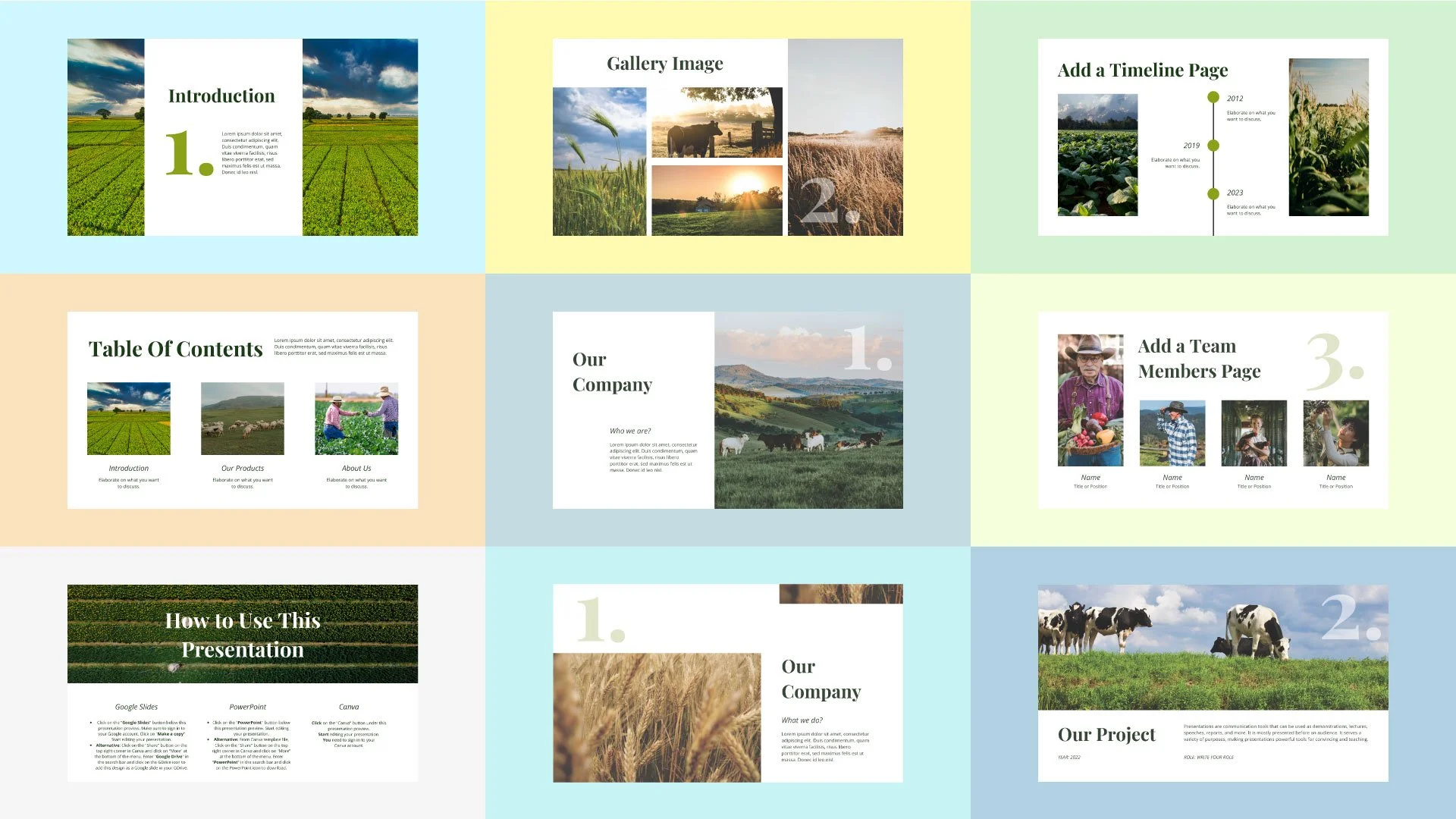 gribusiness Newsletter presentation mockup featuring Our Company, Team Members, and Timeline pages, crafted by Quirk Design Studio