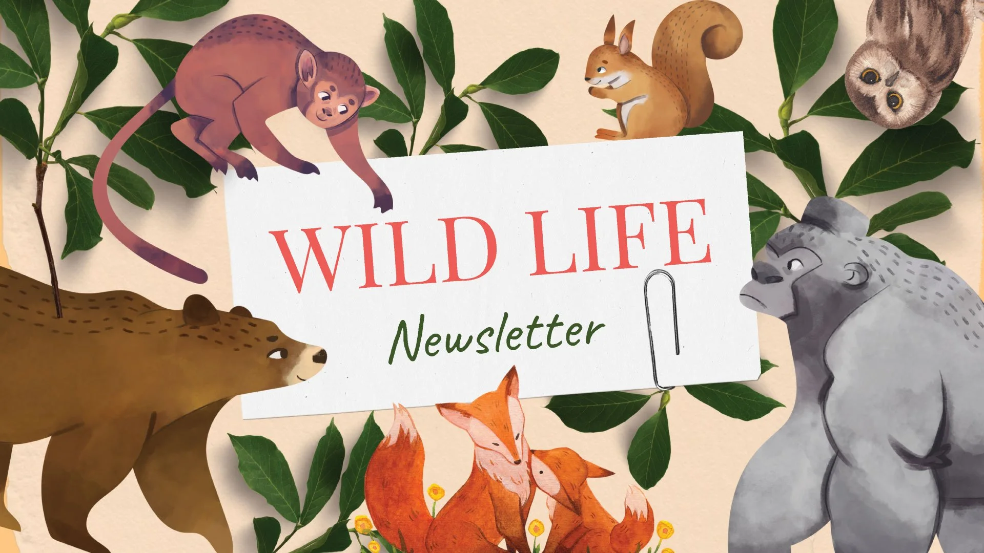 Cover page of the Wild Life newsletter featuring playful illustrations of various animals in a vibrant, kid-friendly style.