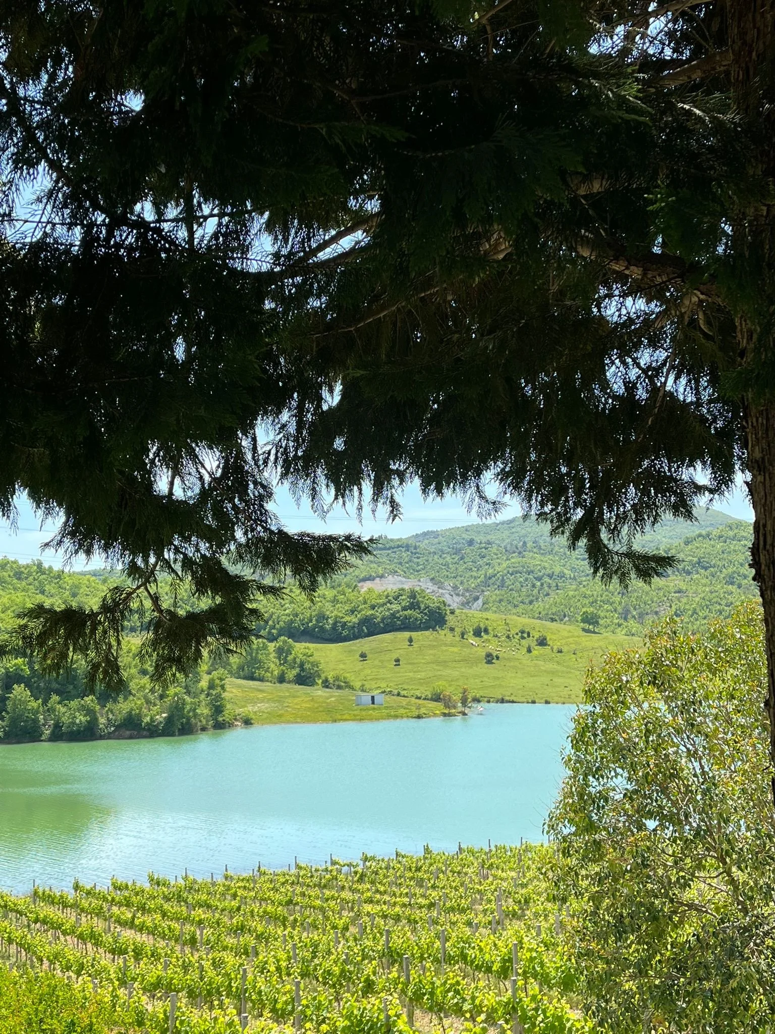 Arbeiten im Camper-Urlaub