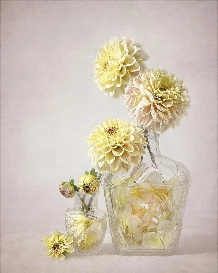 Still Life in October #03