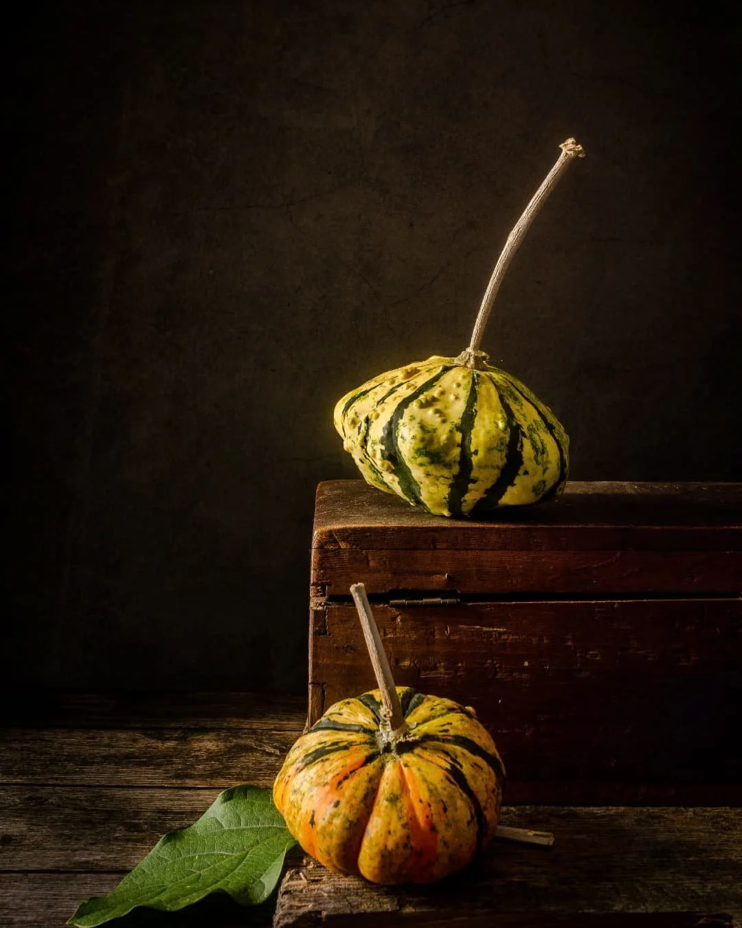Still Life in November #01