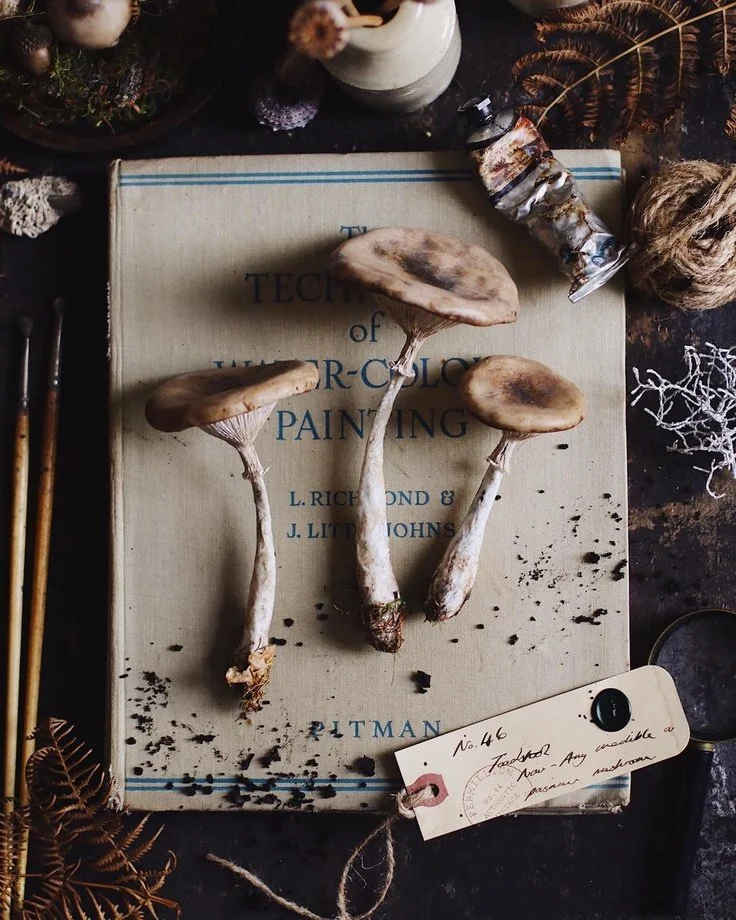 Styling Still Life Photography #03
