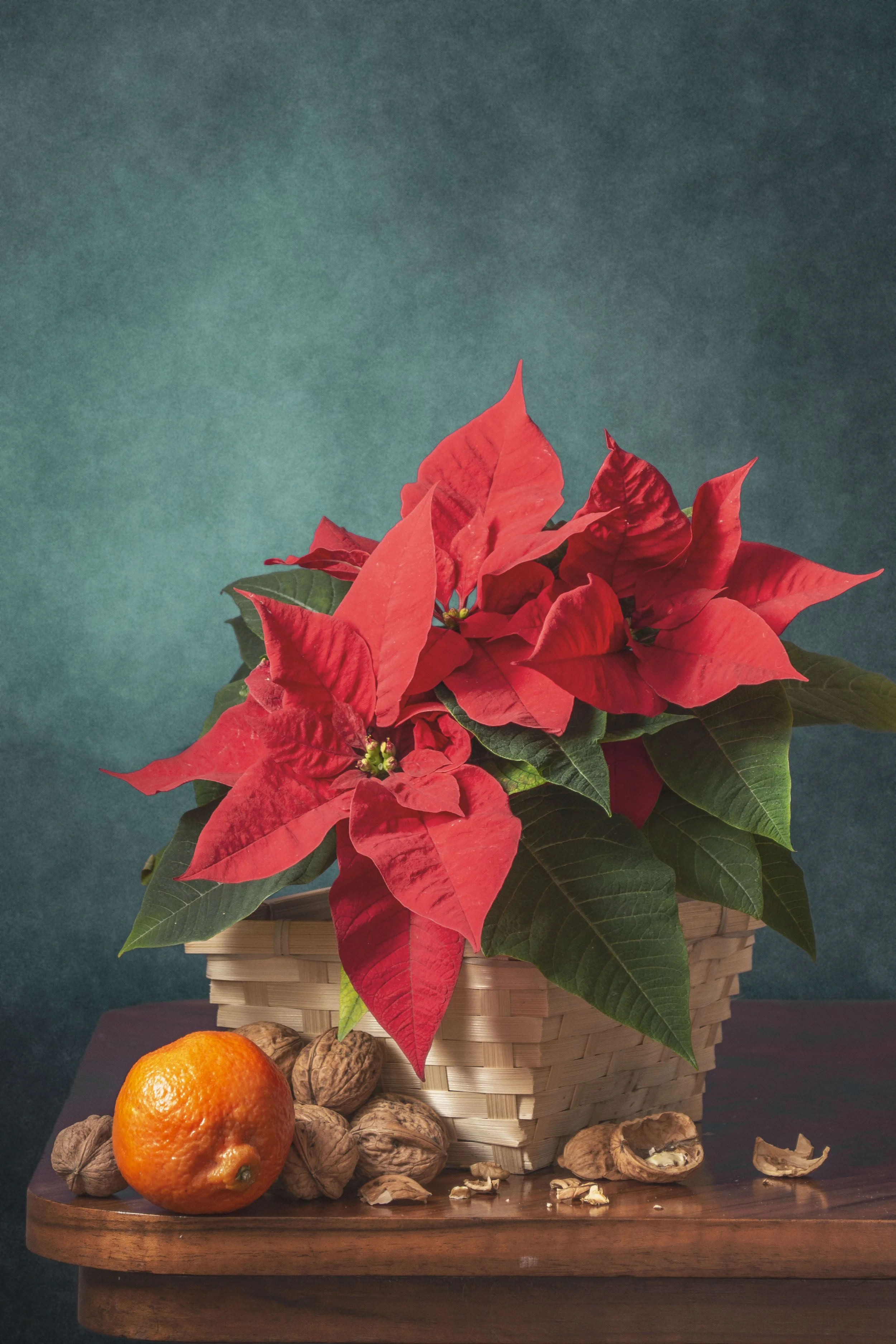All Seasons Still Life #001