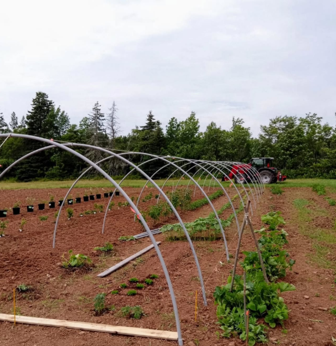 Ori Farms