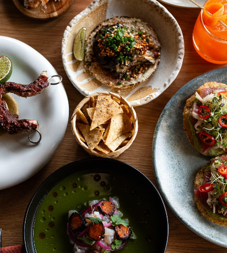 Tulipan - Mexican Restaurant &amp; Tequila Bar
