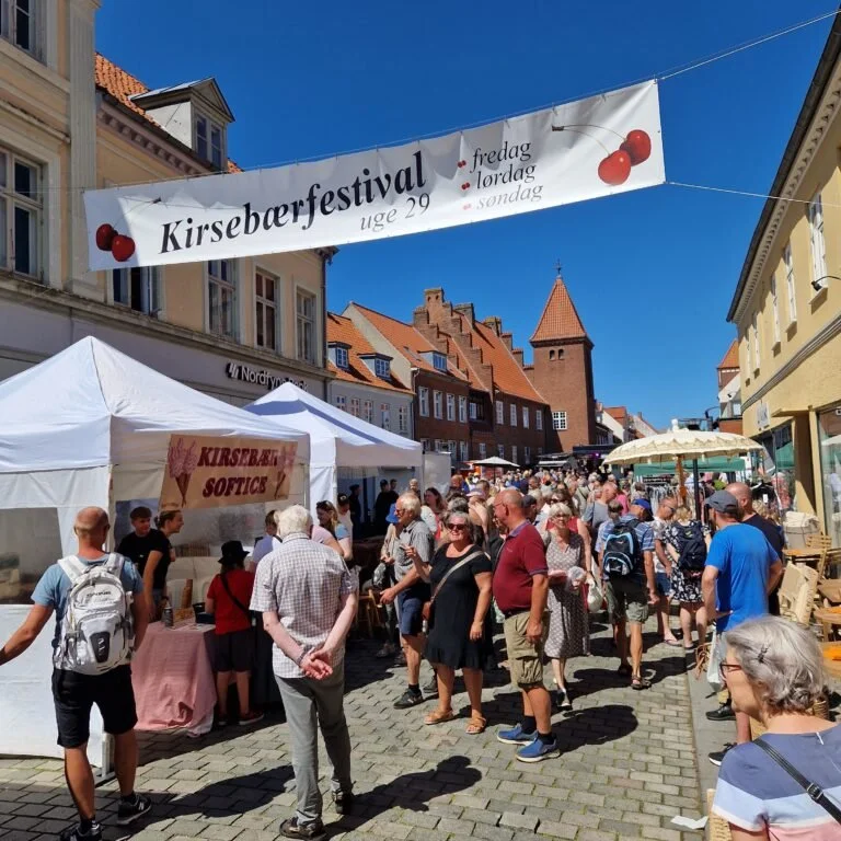 kirsebaerfestival56-768x768.jpg