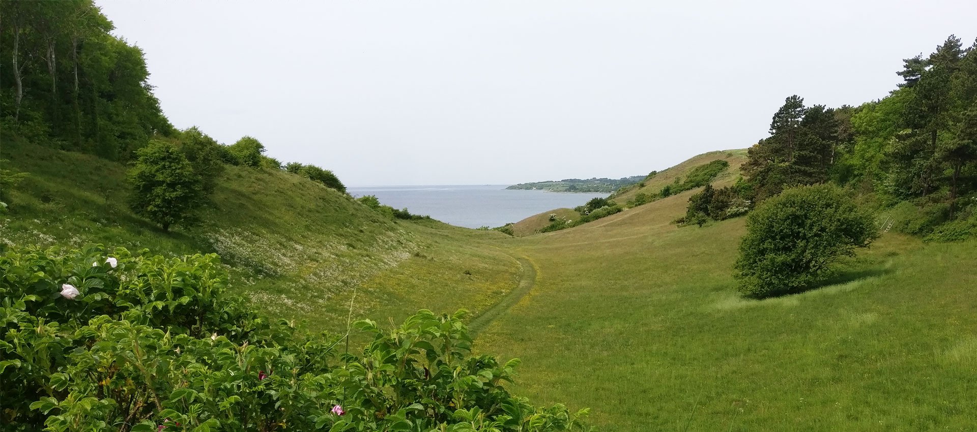 Konstrup.jpg