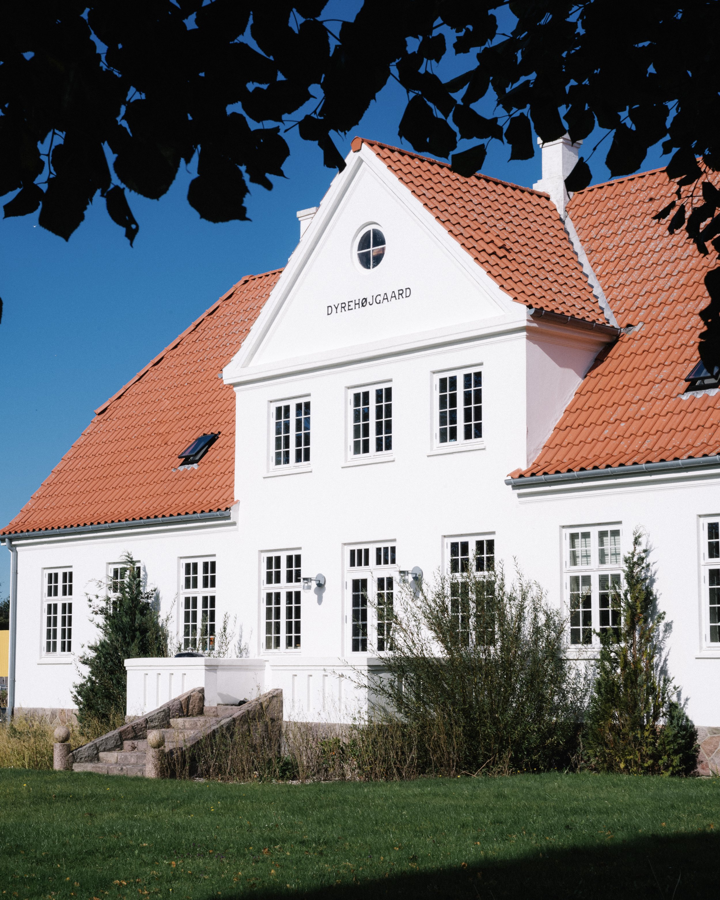 4-Dyrehoj-vingaard-4.jpg