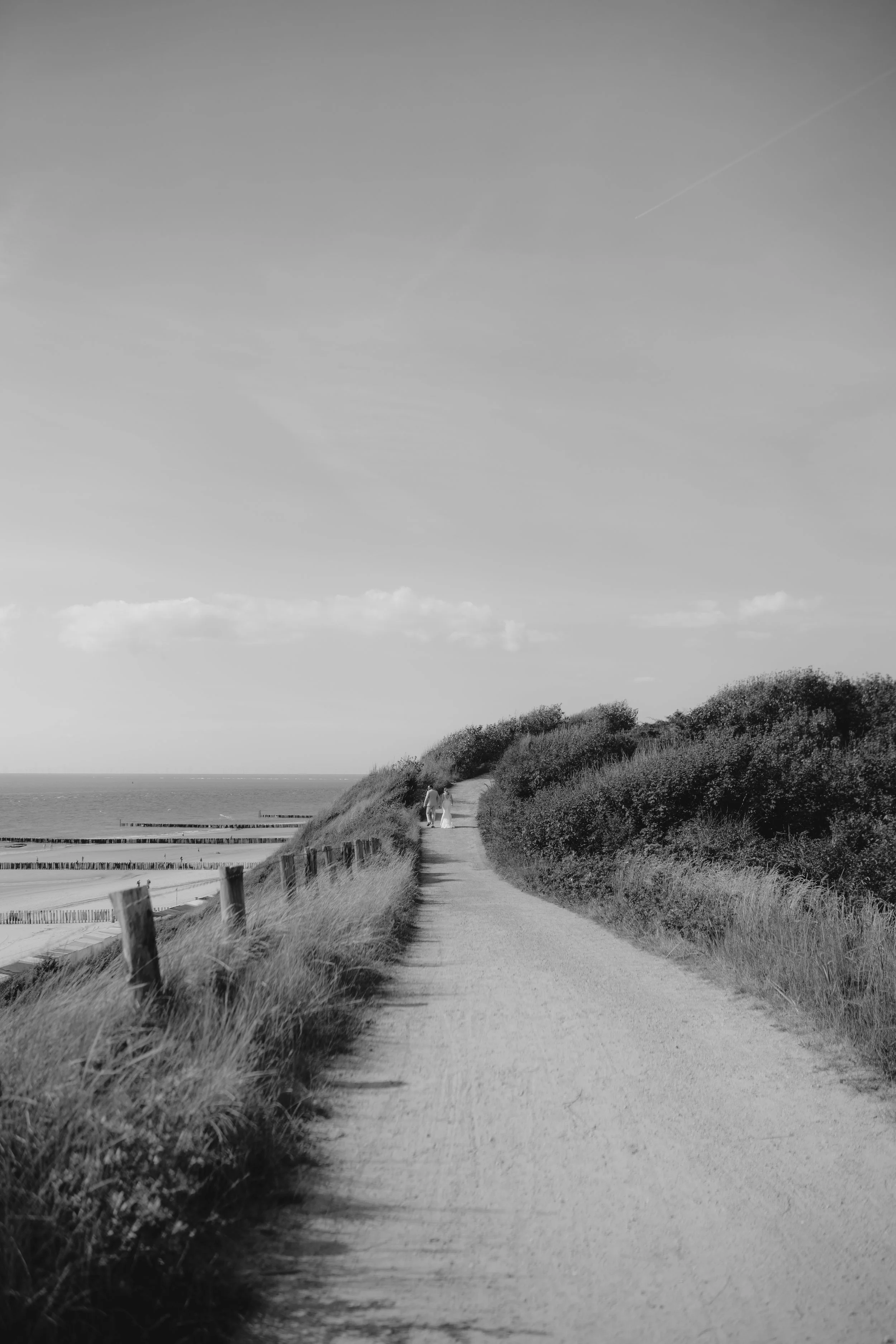 DSC09816.jpg