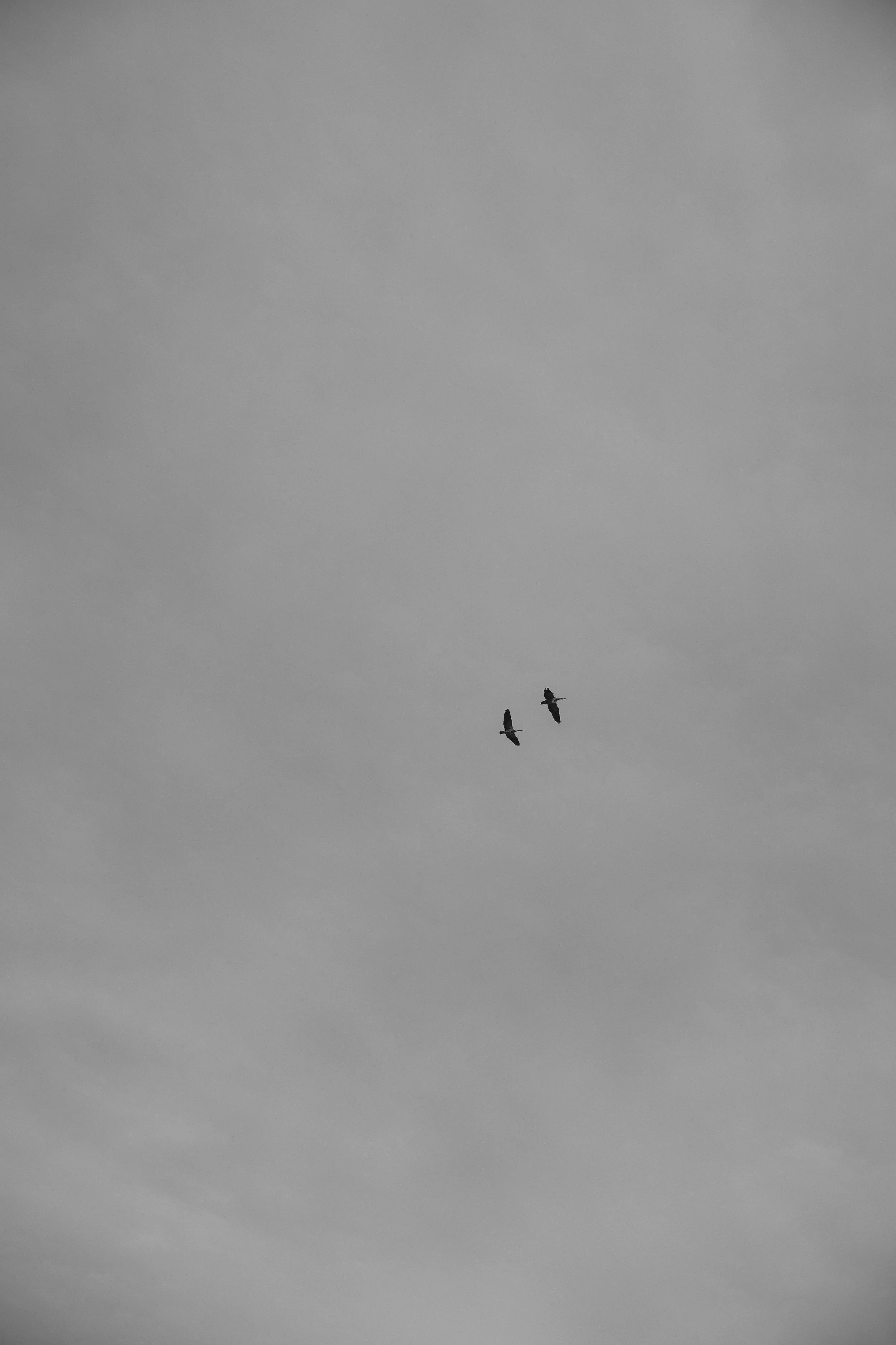 9 Chill & Torte-977.jpg